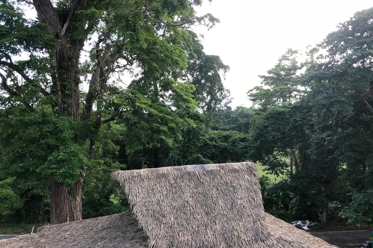 Slide 4