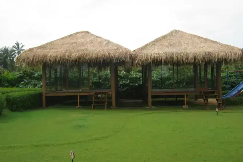 Slide 5