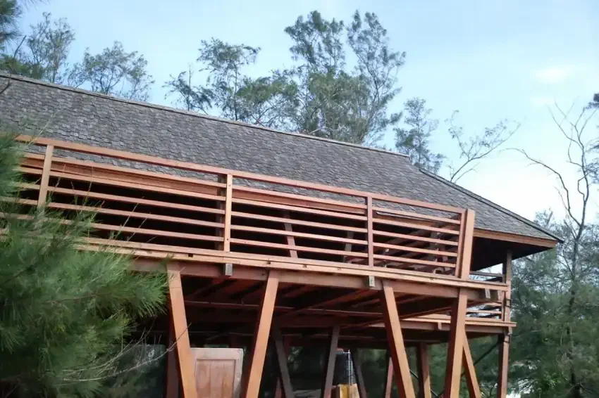 Slide 5